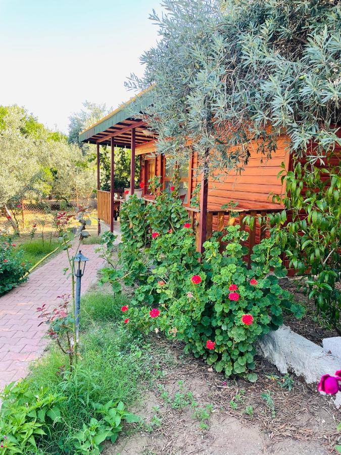Second Home Boutique Hotel Kemer Extérieur photo